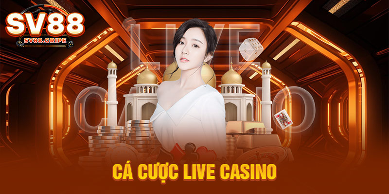 Cá cược Live Casino