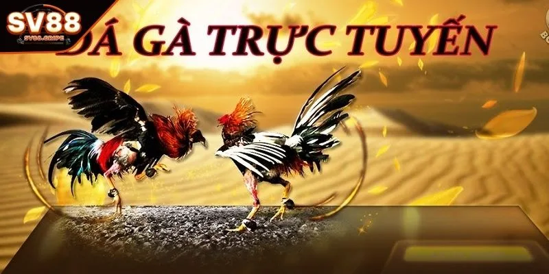 Giới thiệu tổng quan về cá cược đá trực tuyến